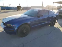 Salvage cars for sale at Anthony, TX auction: 2007 Ford Mustang GT