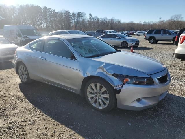 2009 Honda Accord EXL