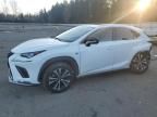 2018 Lexus NX 300 Base