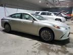 2022 Lexus ES 300H Base