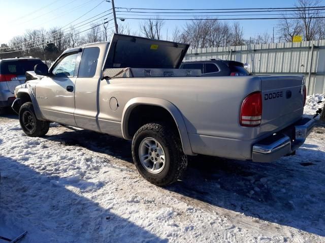 1999 Dodge Dakota