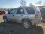 2002 Ford Escape XLT