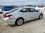 2014 Lexus ES 300H