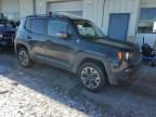 2017 Jeep Renegade Trailhawk