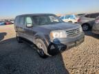 2013 Honda Pilot EXL