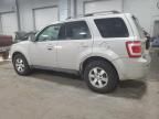 2009 Ford Escape Limited