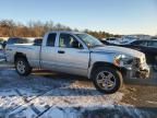 2007 Dodge Dakota SLT