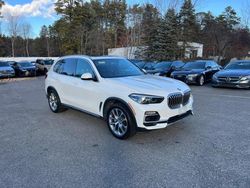 BMW salvage cars for sale: 2019 BMW X5 XDRIVE40I