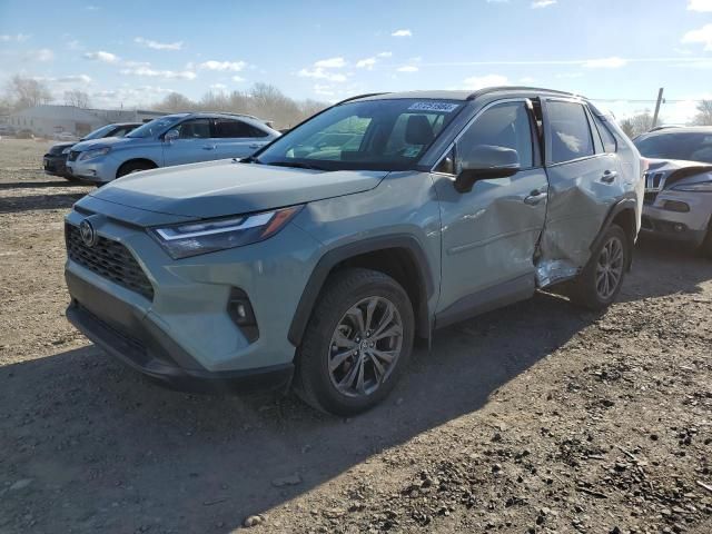 2023 Toyota Rav4 XLE Premium