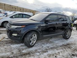 Salvage cars for sale at Laurel, MD auction: 2013 Land Rover Range Rover Evoque Pure Premium