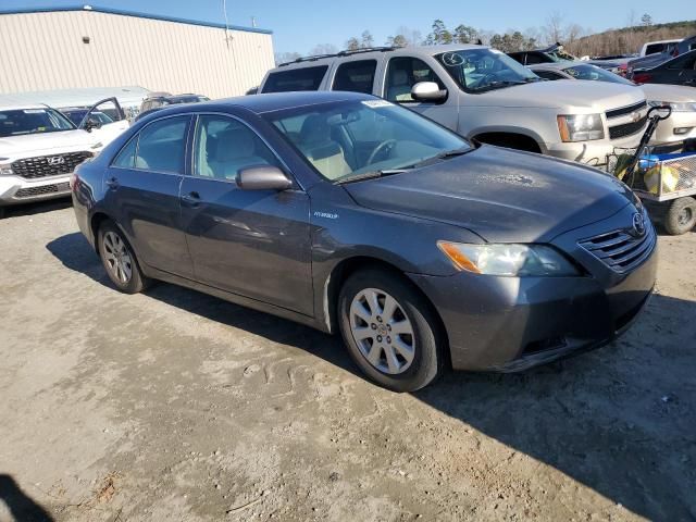 2009 Toyota Camry Hybrid