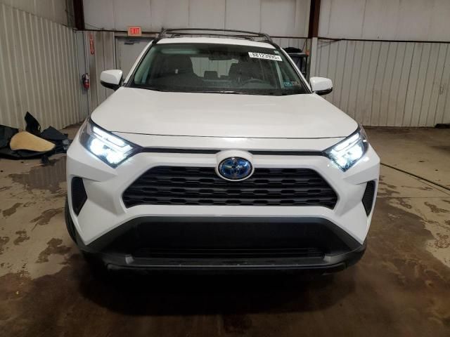 2024 Toyota Rav4 XLE