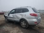 2007 Hyundai Santa FE GLS