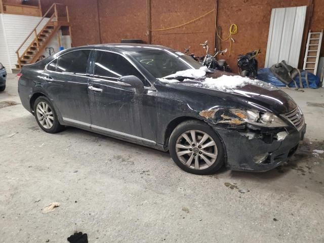 2010 Lexus ES 350