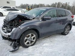 Salvage cars for sale at Cookstown, ON auction: 2018 Honda CR-V EX