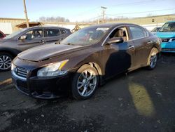 Nissan Vehiculos salvage en venta: 2013 Nissan Maxima S