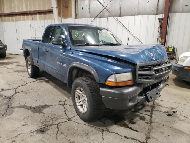 2002 Dodge Dakota Base