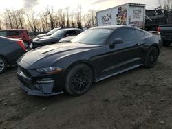 Ford salvage cars for sale: 2019 Ford Mustang GT