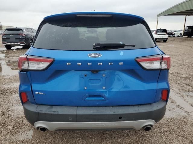 2021 Ford Escape SEL