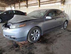 Salvage cars for sale at Phoenix, AZ auction: 2012 Acura TL