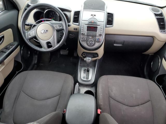 2010 KIA Soul +