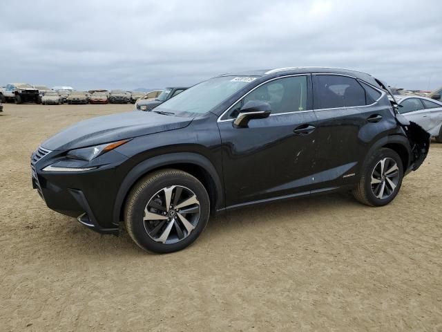 2019 Lexus NX 300H