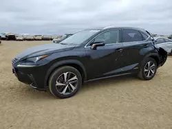 Salvage cars for sale at American Canyon, CA auction: 2019 Lexus NX 300H