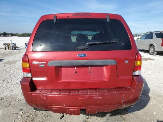 2007 Ford Escape XLT