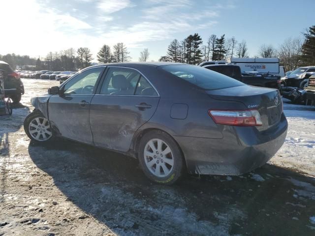 2009 Toyota Camry Hybrid