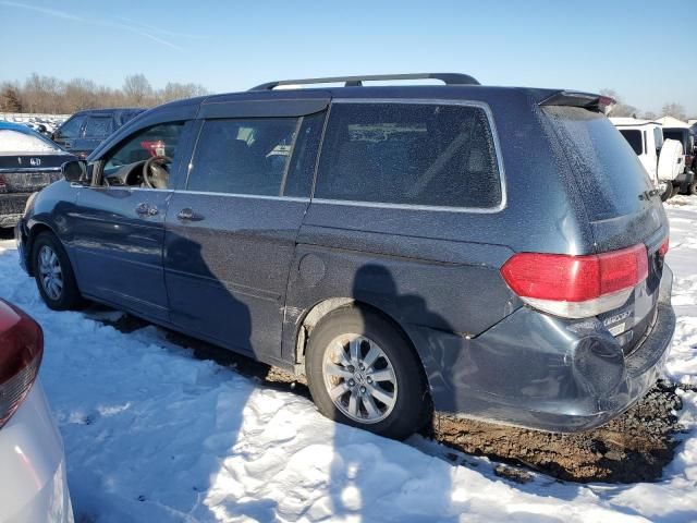 2010 Honda Odyssey EX