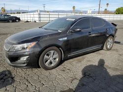 KIA Vehiculos salvage en venta: 2014 KIA Optima Hybrid