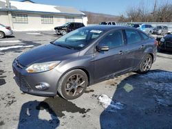 Salvage cars for sale at Grantville, PA auction: 2014 Ford Focus SE