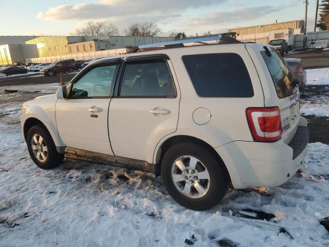 2011 Ford Escape Limited