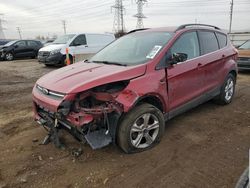 Ford Vehiculos salvage en venta: 2013 Ford Escape SE