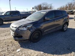 Salvage cars for sale at Oklahoma City, OK auction: 2016 Ford Escape SE