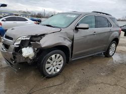 Salvage cars for sale at Louisville, KY auction: 2010 Chevrolet Equinox LT