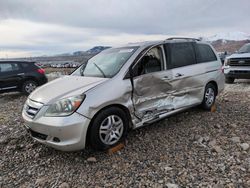 Honda salvage cars for sale: 2005 Honda Odyssey EXL