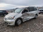 2005 Honda Odyssey EXL