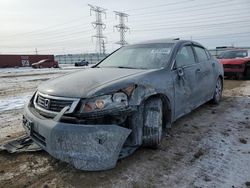 Salvage cars for sale at Elgin, IL auction: 2008 Honda Accord EXL