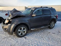 Ford salvage cars for sale: 2011 Ford Escape Limited