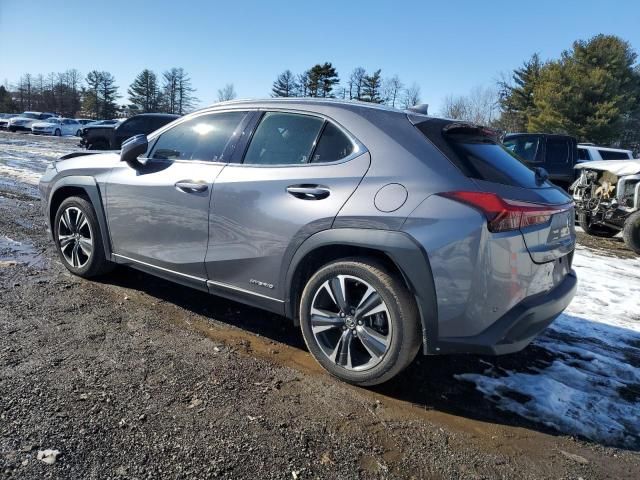 2021 Lexus UX 250H