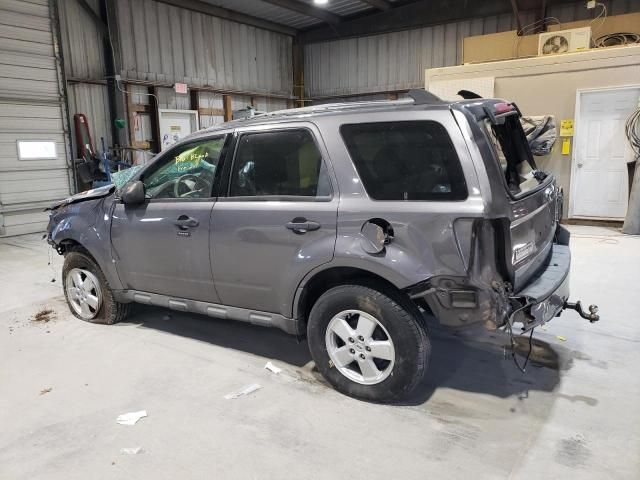 2009 Ford Escape XLT