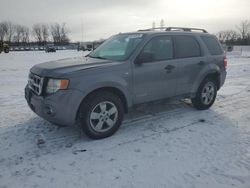 2008 Ford Escape XLT en venta en Barberton, OH