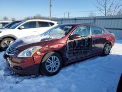 Salvage cars for sale from Copart Hillsborough, NJ: 2010 Nissan Altima Base