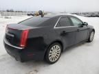 2010 Cadillac CTS Performance Collection