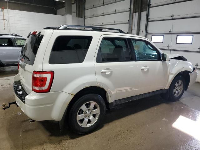 2010 Ford Escape Limited