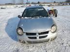 2003 Dodge Neon SXT