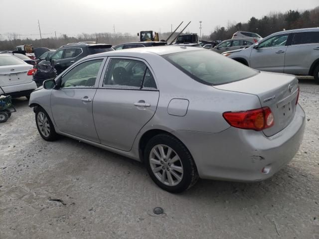 2009 Toyota Corolla Base