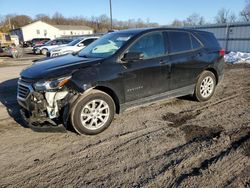 Chevrolet salvage cars for sale: 2019 Chevrolet Equinox LS