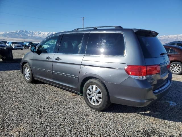 2010 Honda Odyssey EXL